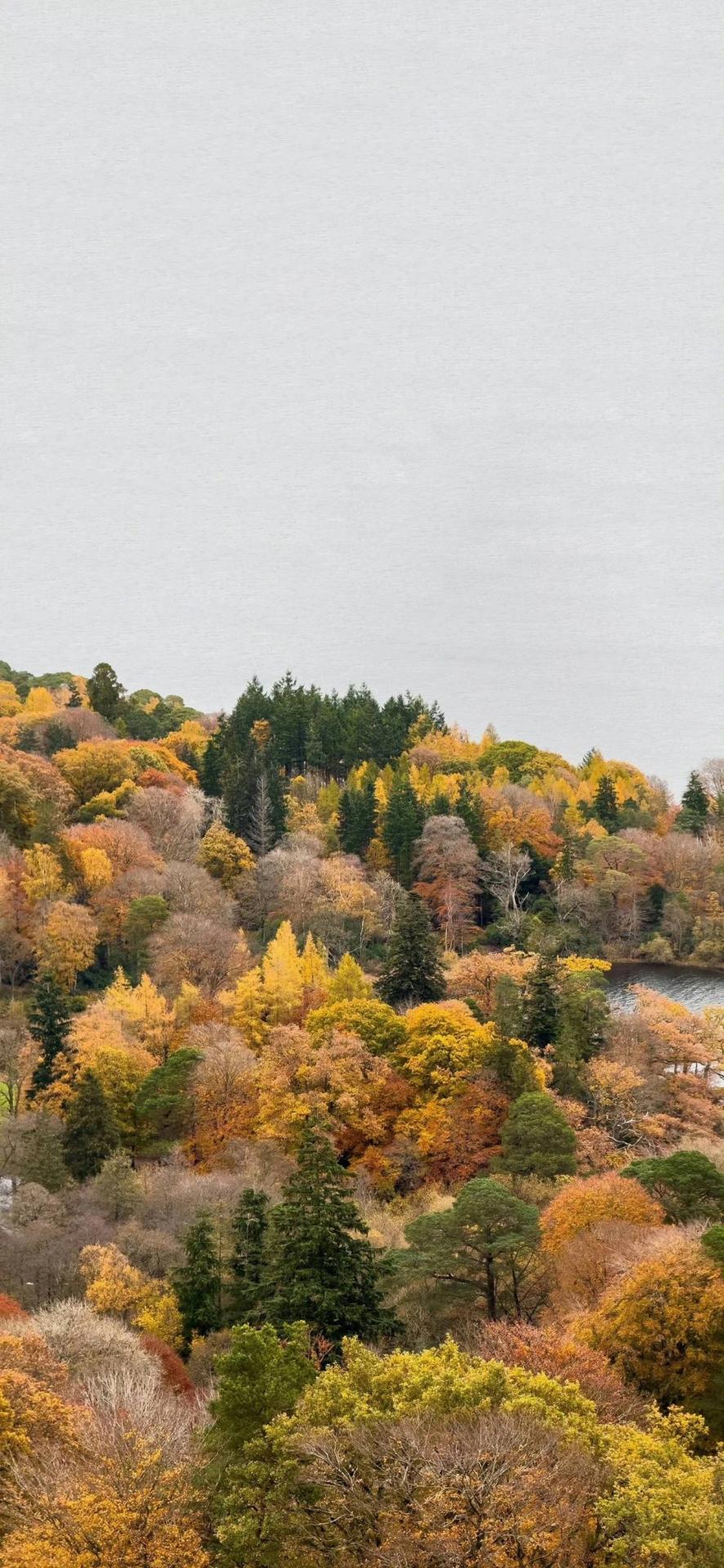 自然之道与人生修行：内在觉醒与自我超越的哲学探微封面