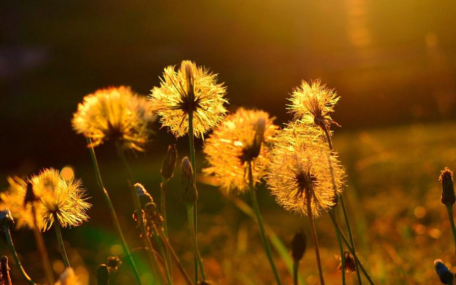 世界上所有的事情都是双向奔赴的。封面