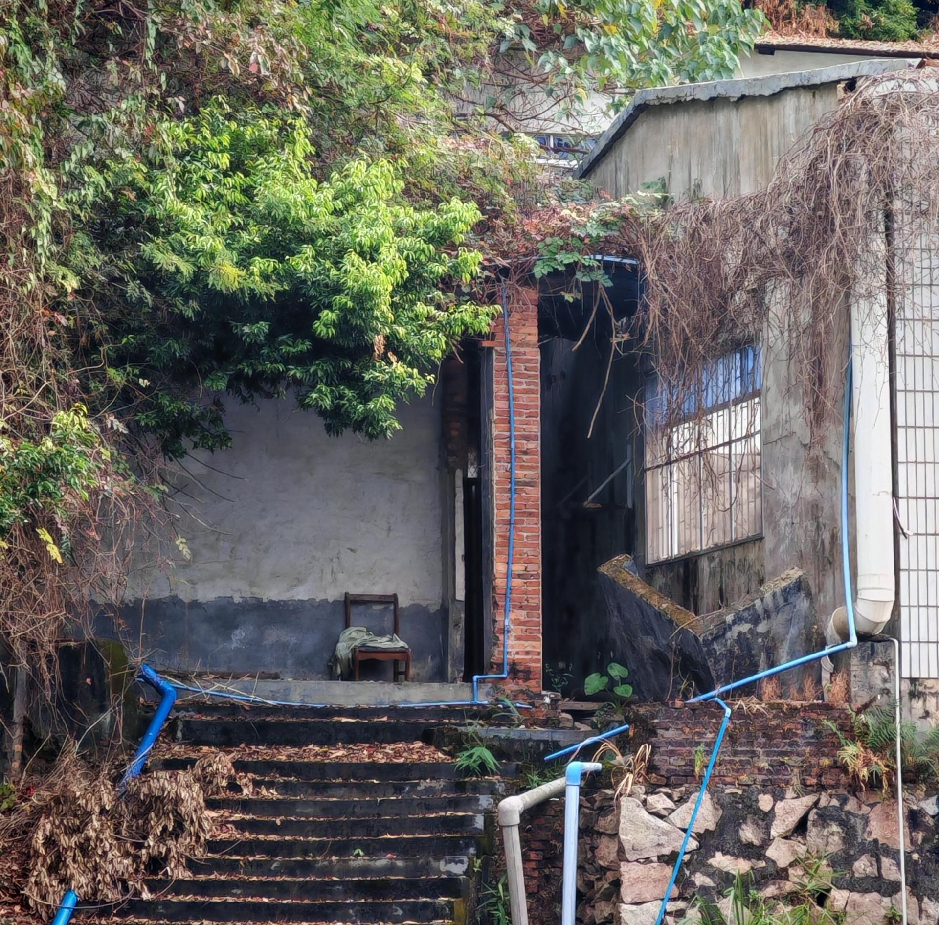 回首似水流年，内心莫名的宁静，也许是我们的心慢慢变老渐渐远离年轻。封面