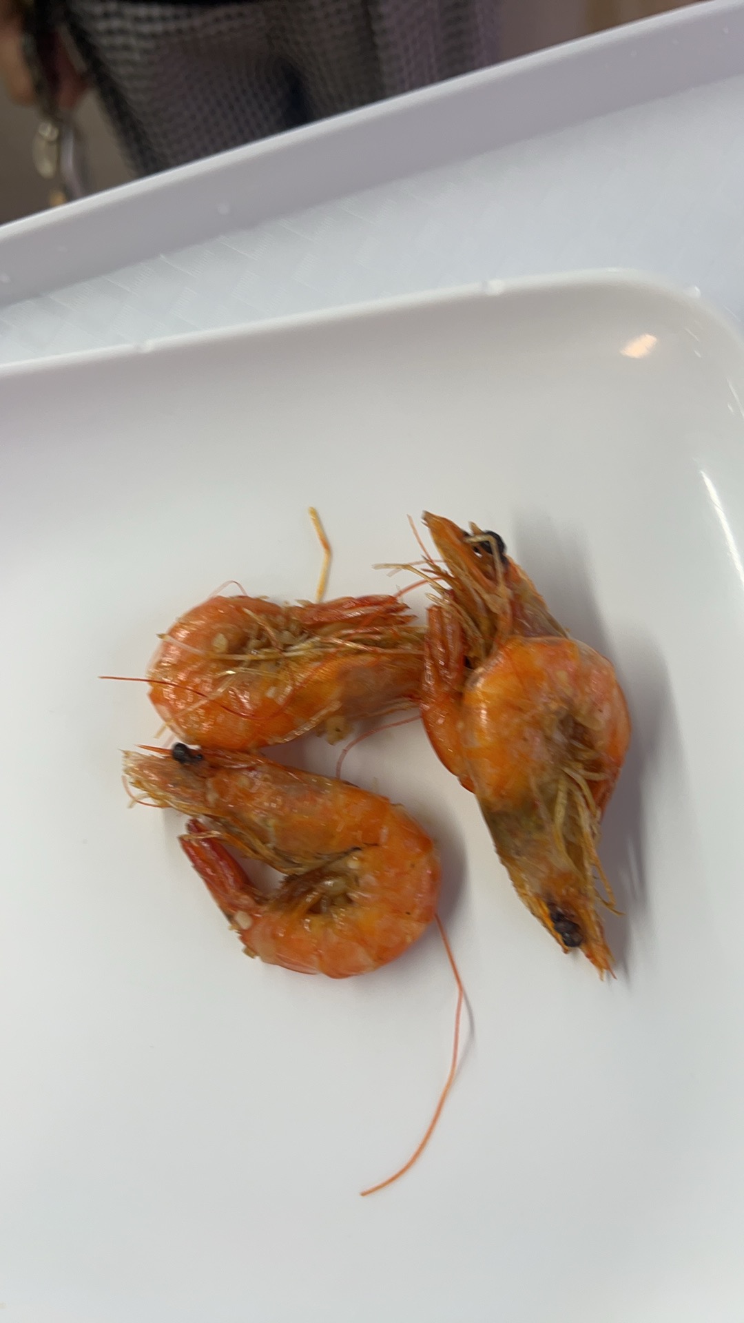 重生之打暑假工的我